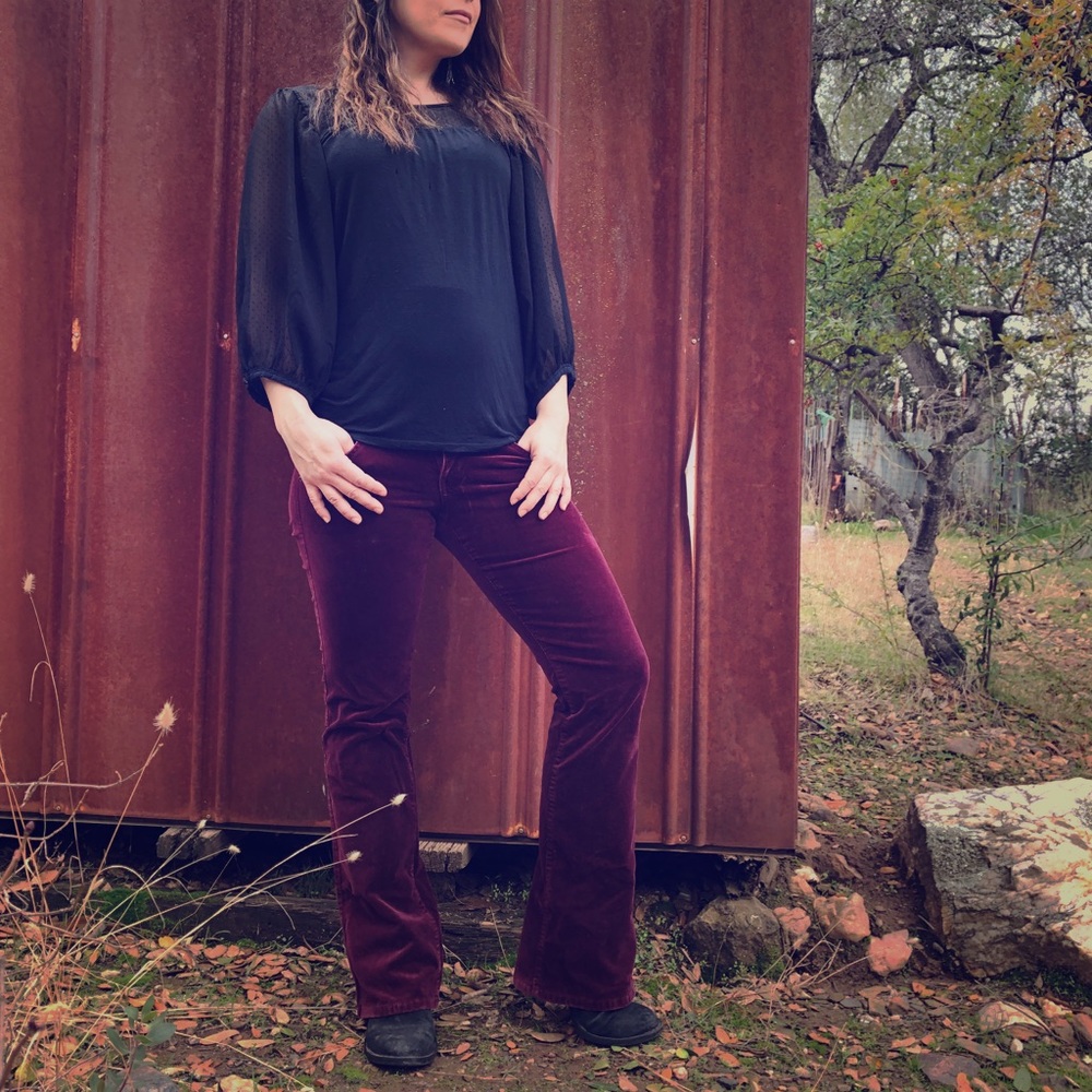 Velvet vintage flares